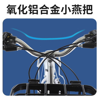 飞鸽（FLYING PIGEON）飞鸽全轴承自行车城市通勤代步碟刹变速成人男女复古老式单车 卡布奇诺-日骋24速 太空银 26寸适合150-180cm