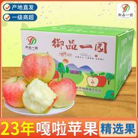 嘎啦苹果新鲜水果净重5斤单果120g以上山西当季脆甜整箱