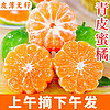 誉福园青皮蜜桔新鲜橘子酸甜桔子薄皮新鲜水果新鲜当季 大果丨60-65mm 3斤装