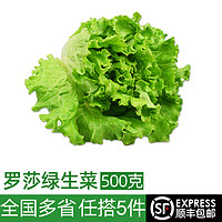 绿食者 新鲜绿叶生菜500g 罗莎绿花边花叶生菜西餐沙拉食材轻食蔬菜