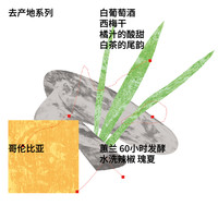 治光师 BEAM TIMER哥伦比亚瑰夏咖啡豆手冲单品咖啡豆100g