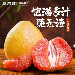 臻碧鄉 梅州大埔红心蜜柚2个家庭装（单果1.7-2.3斤）