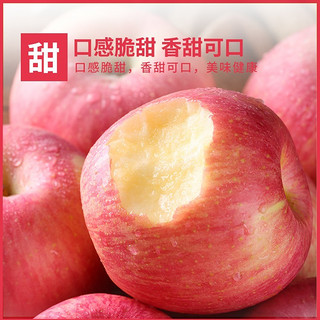 88VIP：中秋礼盒陕西洛川苹果红富士12枚脆甜多汁顺丰包邮