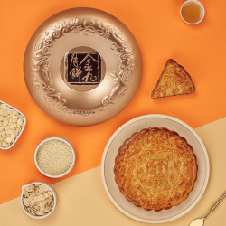 金九月饼 金九五仁叉烧大月饼 湛江广式传统月饼盒装500g
