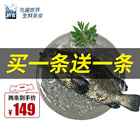 鲟食 石斑鱼 鲜活冷冻老虎斑生鲜鱼类海鲜 石斑鱼700-800g/条
