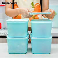Tupperware特百惠 新冷冻保鲜4件套冰箱收纳密封保鲜食品级收纳盒冷冻保鲜盒色 冷冻4件套（浅蓝色）