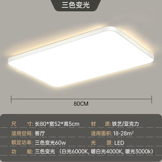CHANGHONG 长虹 照明LED吸顶灯超薄大气客厅灯现代简约餐厅卧室灯饰全屋灯具套餐 80*52CM60W三色