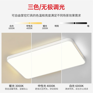 CHANGHONG 长虹 照明LED吸顶灯超薄大气客厅灯现代简约餐厅卧室灯饰全屋灯具套餐 80*52CM60W三色
