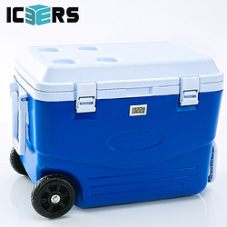 ICERS 艾森斯）PU保温箱药品胰岛素医用冷藏箱保鲜箱 50升 带温度计显示款 蓝白色