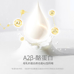 奶气 A2β-酪蛋白高钙纯牛奶220ml*12盒牛奶