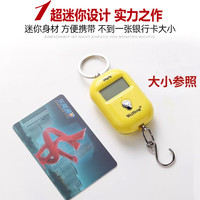 一馨 精准迷你手提电子秤高精度小型便携式吊秤弹簧秤家用钩称随身称克