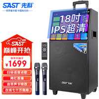 SAST 先科 家庭ktv音响套装卡拉ok点歌机唱歌一体机家用蓝牙移动便携式户外广场舞带显示屏 SA-226