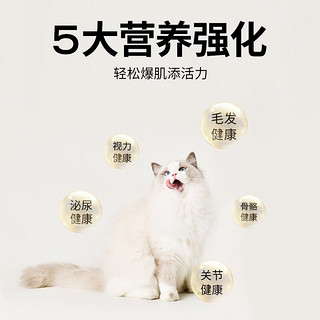 GAOYEA 高爷家 全价烘焙猫粮 6kg（赠 试吃4包+猫条20支+洁齿棒10g）