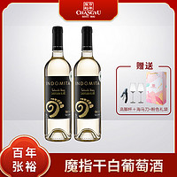 CHANGYU 张裕 智利原瓶进口酒庄酒 魔指干白 果香浓郁 750ml*2