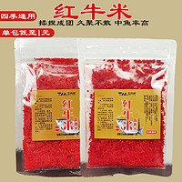 三分钟新品红牛米红大米碎米红虫味窝米酒米