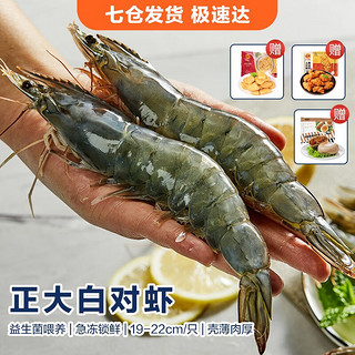 CP 正大食品 正大 虾 白对虾大虾 泰虾  虾类生鲜 礼盒装 约19-22cm 21/25规格 净重1.4kg