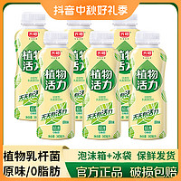 Bright 光明 植物活力活菌型饮品低温0脂肪原味340ml瓶学生乳酸菌含乳饮料