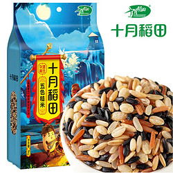 SHI YUE DAO TIAN 十月稻田 五色糙米 1kg