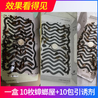 京康 粘蟑螂屋家用强力诱饵粘捕蟑螂纸厨房灭蟑螂剂除大小蟑螂胶贴