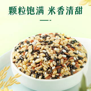 SHI YUE DAO TIAN 十月稻田 七色糙米2.5kg 东北低脂粗粮 （黑米 红米 燕麦米 小麦仁）