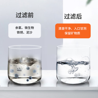 PurePlus 水龙头净水器 一机一芯（好评返2元）