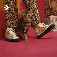 CONVERSE 匡威 1970S 男女款运动帆布鞋 A08161C