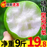 喜多鲜 砀山皇冠梨新鲜水果10斤青皮梨子整箱应季当季酥蜜梨翠冠梨D