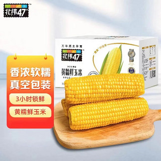 红允北纬47度玉米玉米绿色鲜食黑龙江新鲜糯玉米老式粗粮 200g黄糯鲜玉米(北纬47度) 2支装