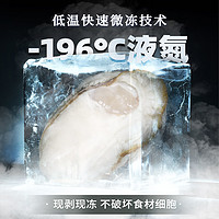 88VIP：BEISILING 贝司令 氮冻原浆生蚝新鲜现剥牡蛎肉200g/包去壳海蛎子海鲜水产