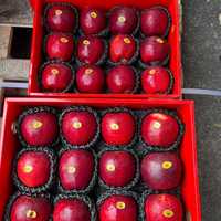 当季新鲜苹果 7号红玫瑰苹果中秋国庆精品水果盒装口感脆甜