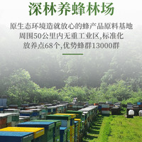 CHIBAO 池宝 椴树雪蜜 500g