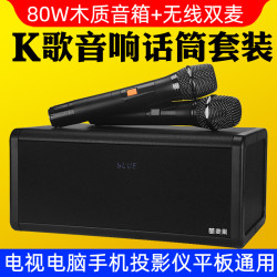 麦巢 音响麦克风一体全民K歌无线话筒投影仪家庭唱ktv电视蓝牙音箱
