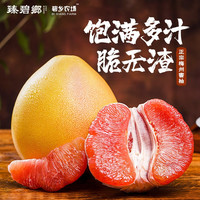 臻碧鄉 梅州大埔红心蜜柚4个家庭装（单果1.7-2.3斤）