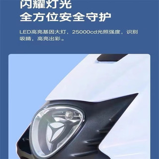 Yadea 雅迪 电动车DT3新国标可上牌锂电池长续航代步通勤电动自行车dt3 雅迪DT3运动版