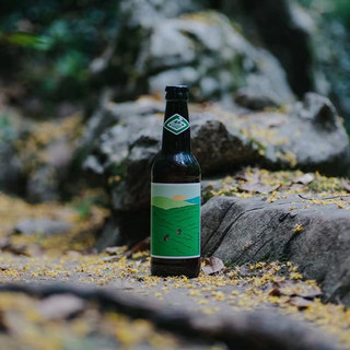 国产赤耳酿造龙井绿茶啤酒330ml*1瓶精酿啤酒