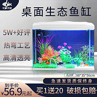 SEA STAR 海星生态小鱼缸客厅小型水族箱创意迷你玻璃家用懒人造景LED灯 820F布景套装