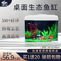 SEA STAR 海星生态小鱼缸客厅小型水族箱创意迷你玻璃家用懒人造景LED灯 580F标配（带20件套）