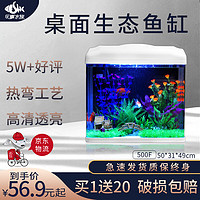 SEA STAR 海星生态小鱼缸客厅小型水族箱创意迷你玻璃家用懒人造景LED灯 500F标配（带20件套）