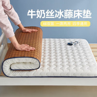 杜威卡夫双面藤席床垫软垫单人宿舍床垫子榻榻米海绵垫子租房地铺睡垫 太空人藤席两用垫-白色 0.9*1.9m