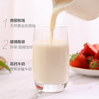jason 捷森 德国捷森高品质纯牛奶低脂牛奶营养早餐奶240ml