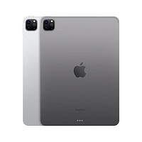 Apple 苹果 iPad Pro 2022款苹果平板电脑 苹果ipad平板 未使用 iPad Pro 11寸 灰色 128G WiFi版 未使用