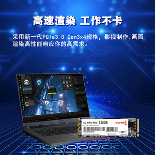 Great Wall 长城 1TB SSD固态硬盘 M.2接口(NVMe协议 PCl