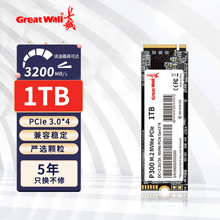 Great Wall 长城 1TB SSD固态硬盘 M.2接口(NVMe协议 PCl