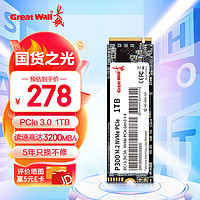 长城 (Great Wall) 1TB SSD固态硬盘 M.2接口(NVMe协议 PCle 3.0) P300系列 最高可达3200MB/s