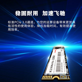 Great Wall 长城 1TB SSD固态硬盘 M.2接口(NVMe协议 PCl