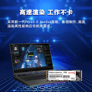 长城（Great Wall）SSD固态硬盘M.2接口(NVMe协议)PCIe3.0x4 P300系列 1TB 3200MB/s 全新