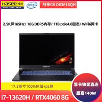 神舟战神G8D63游戏本i7-13620H RTX4060 17.3英寸2.5K屏