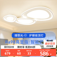 鹿家良品双圈鹅卵石吸顶灯现代简约大气客厅主灯极简云朵中山灯具