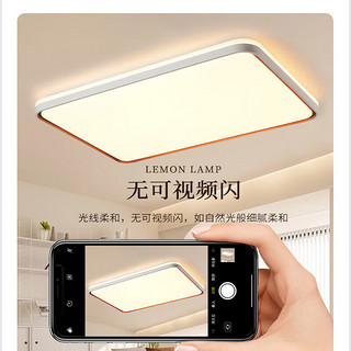 雷士照明 NVC Lighting  Lighting照明 ）led客厅卧室吸顶灯现代简约北欧大气咖+白色两室一厅套餐A