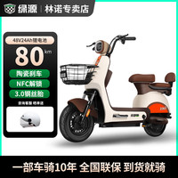 LUYUAN 绿源 FOO2电动自行车48V新国标电动车锂电铅酸电池NFC钢丝胎代24ah星恒锂电-电池可取